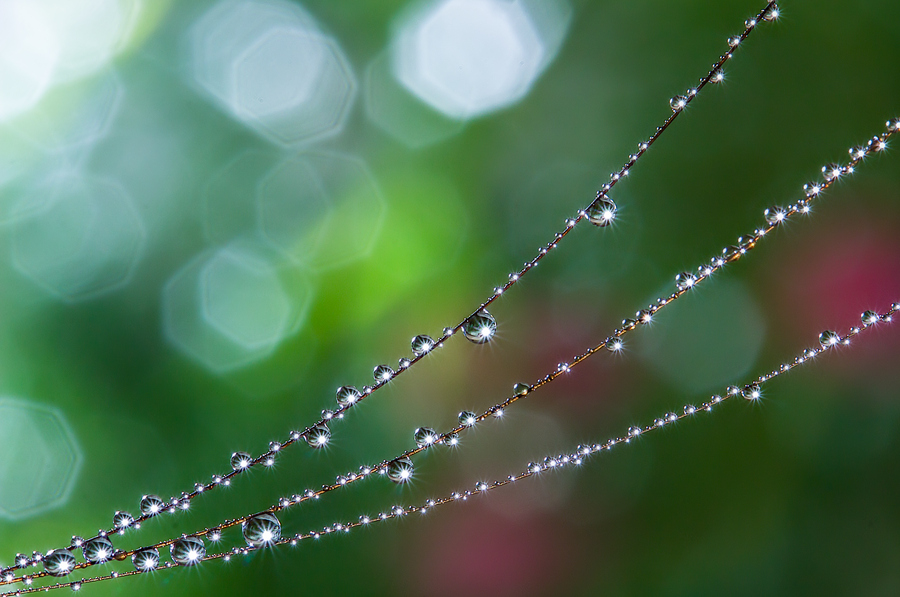 Droplets necklace by Miki Asai